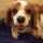 nanacy