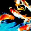 樹脂金魚