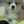 minicooper