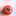 yomemi yomemi