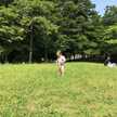 Harumarry