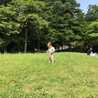 Harumarry