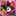 あんこ6574 あんこ6574