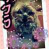 てちょん