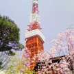 mikitokyo8