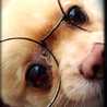 chouchou2