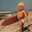 64surf