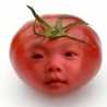 トマト家族