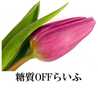 糖質OFF✿聖紫花✿