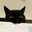 ねこねこ食堂