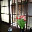 kyotocafe