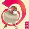 kazjun♪