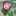 きよきちのすけ きよきちのすけ