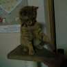 猫みーやん