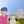 ミッシュ12