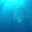 RRmamac