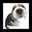 supika大佐