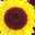 u_son712