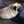 puppun