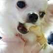 みっふぃぃぃ
