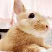 はるU・×・U♡
