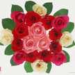 Rose2264