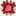 Rose2264 Rose2264