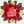 Rose2264