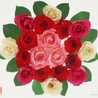 Rose2264