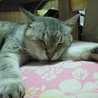 ユノめぐ