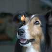 chunchuko3