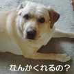 らぶたママ