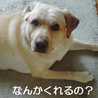 らぶたママ