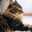 mmeoww