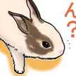 ウサポン