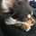 s2kittys2