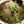 4832
