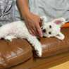 ちひろちさと母さん