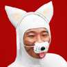 勉強中きんちゃん