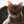 やまねこ