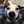 犬バカ上等