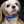のんのんvet.
