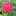 8YUKIdrm8