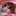 daimon0919 daimon0919
