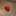 tinypandy tinypandy