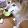 ろまま