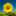 hirasol123 hirasol123