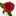*antiquerose* *antiquerose*