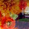 ななはんのおだいどこ ななはんのおだいどこ