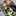 breeze_e breeze_e